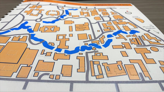 Angled overview of campus