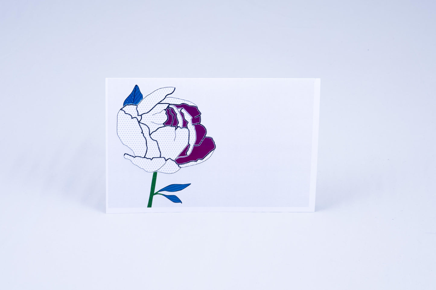 Peony flower with multiple textures and colors, no text.