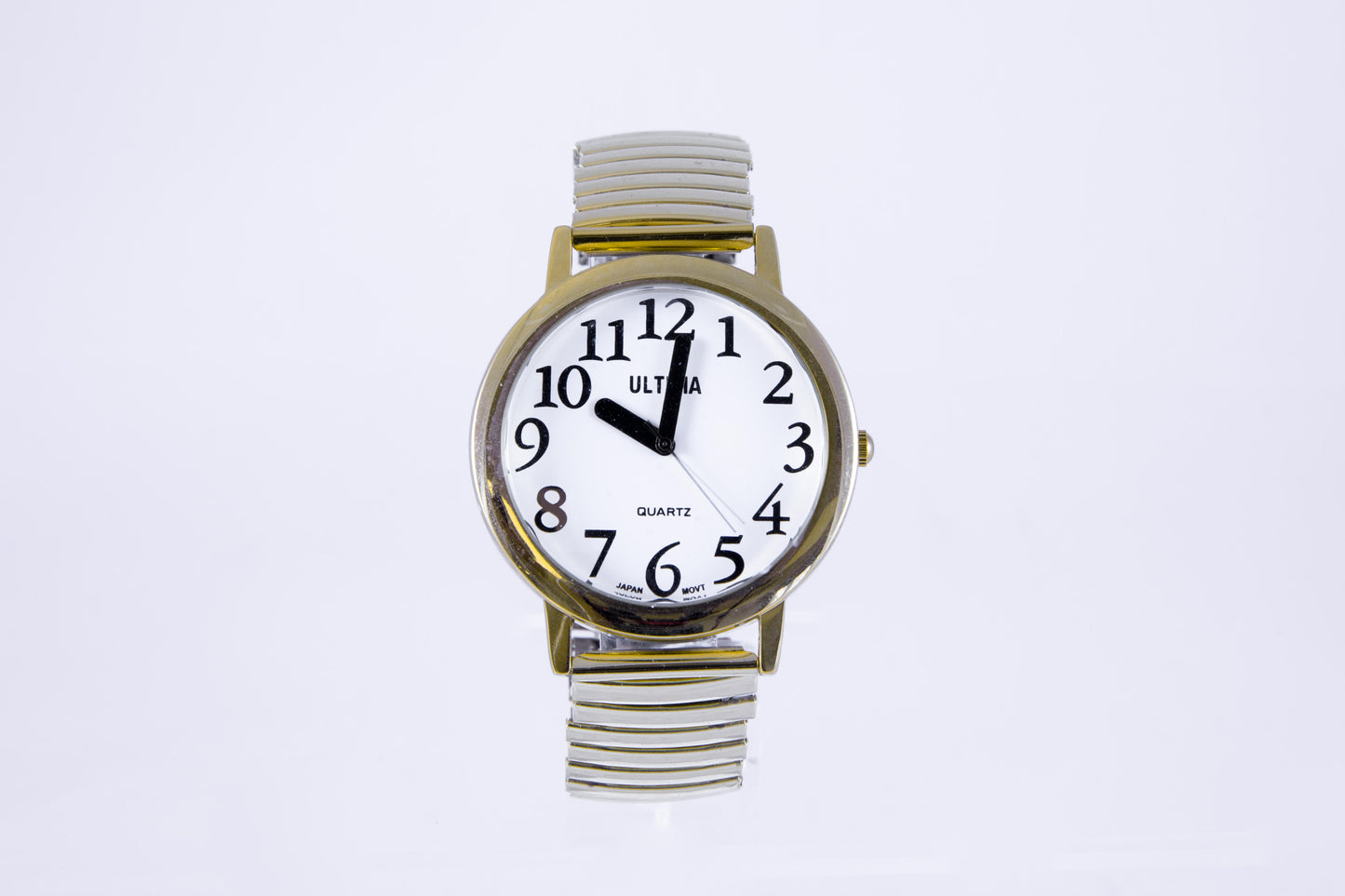 Large Low Vision Watch