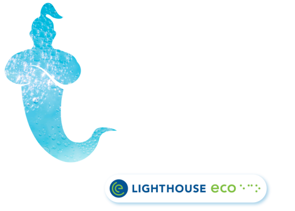 Genie Sheets