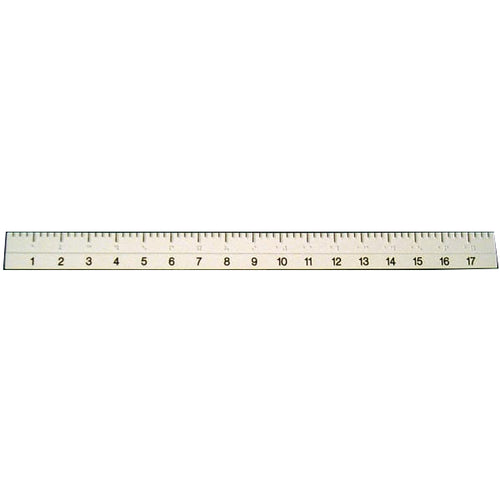 Ruler: 18-inch Flexible Braille/Large Print