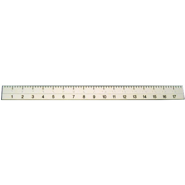 Ruler: 18-inch Flexible Braille/Large Print