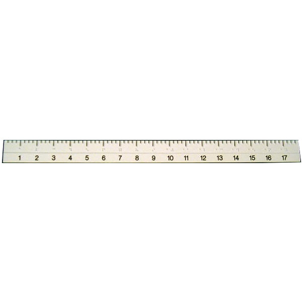 Business Source Ruler Printable 12 Inch Ruler