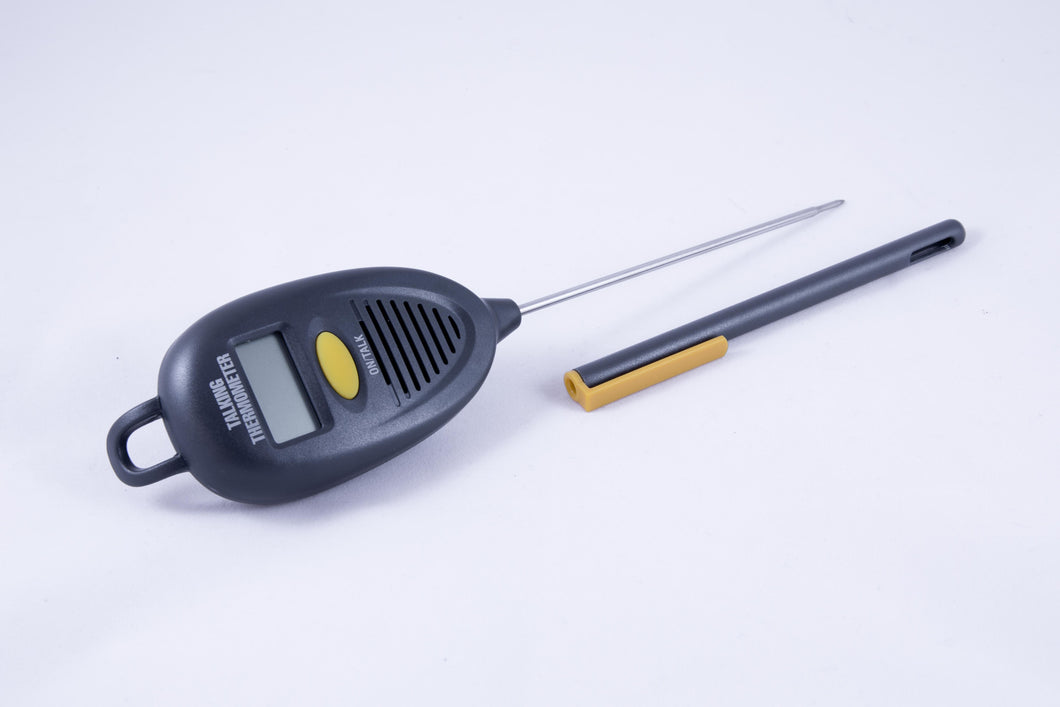 Talking Thermometer