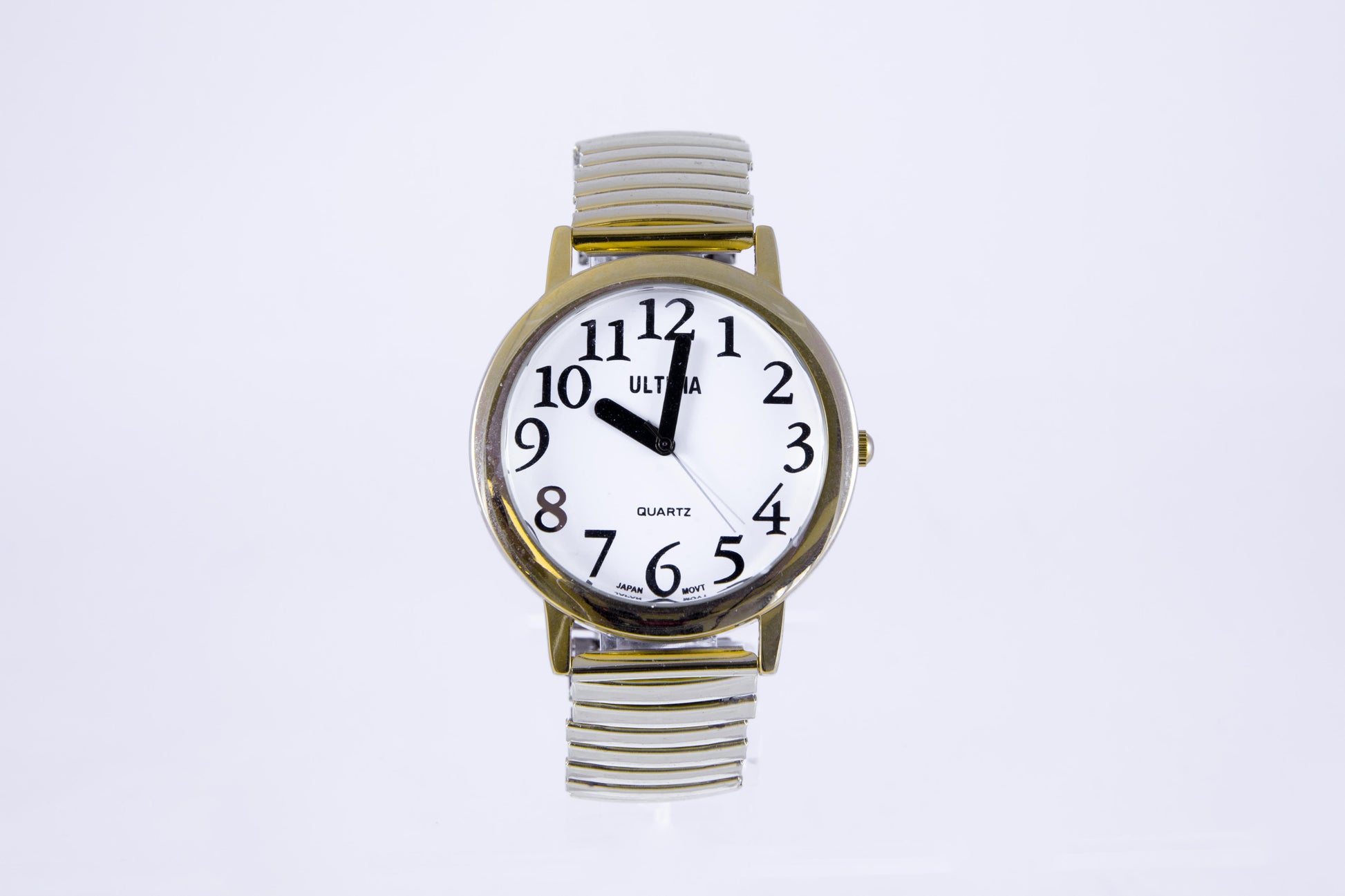 Large Low Vision Watch