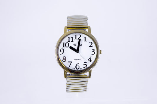 Large Low Vision Watch